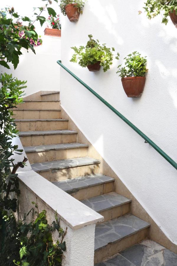 Luxury Garden Lejlighed *